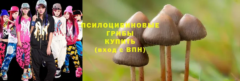 Псилоцибиновые грибы Psilocybe  mega маркетплейс  Дмитровск 